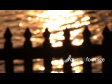 Sunset Water & Fence 1 249